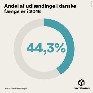 Indsatte udlændinge danmark danske fængsler indsatte